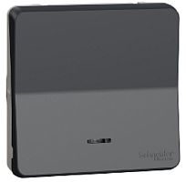 Переключатель с подсветкой без рамки Schneider Electric Mureva Styl 1-кл. проходной IP55 антрацит картинка
